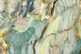 Freestanding Gary Green Jasper (Larsonite) Bog Wood - Oregon #377837-2